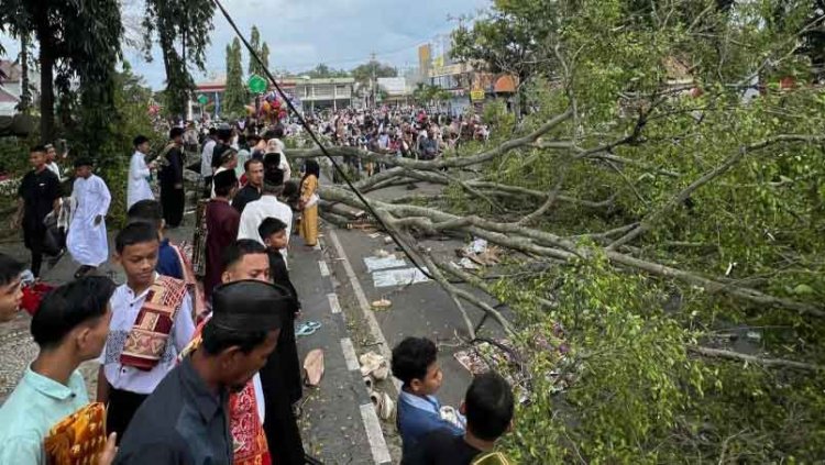 Pohon Tumbang di Tengah-tengah Shalat Ied di Pemalang, 3 Orang Meninggal Dunia