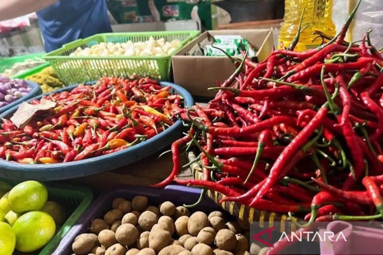 PIHPS: Harga cabai rawit Rp91.950/kg, telur ayam Rp29.450/kg