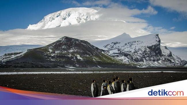 Tarif Trump Sasar Semua Tempat, Bahkan Pulau yang Cuma Dihuni Penguin