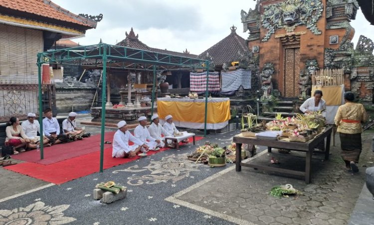 WNA Bulgaria Buat Keributan saat Tawur Kasanga di Tumbak Bayuh Minta Maaf dan Jalani Sanksi Adat -
