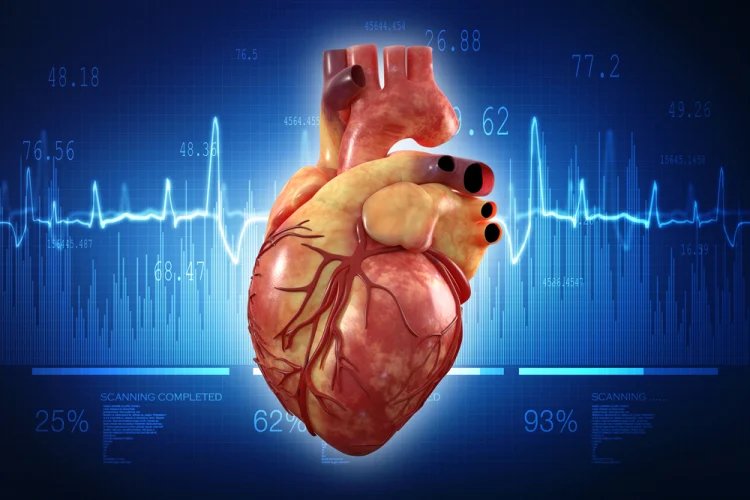 Ahli Ungkap Biang Kerok yang Bikin Organ Jantung 'Menua' Lebih Cepat