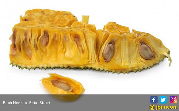 5 Manfaat Nangka, Cegah Anemia Menyerang Anda