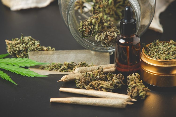 Studi Penggunaan Ganja Rutin Terkait Peningkatan Risiko Demensia hingga 72