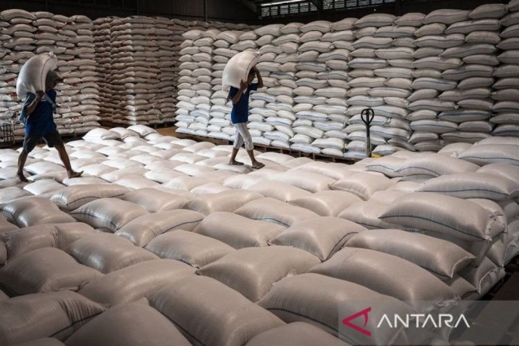 Stok beras 4 juta ton, prestasi dan tantangan nyata