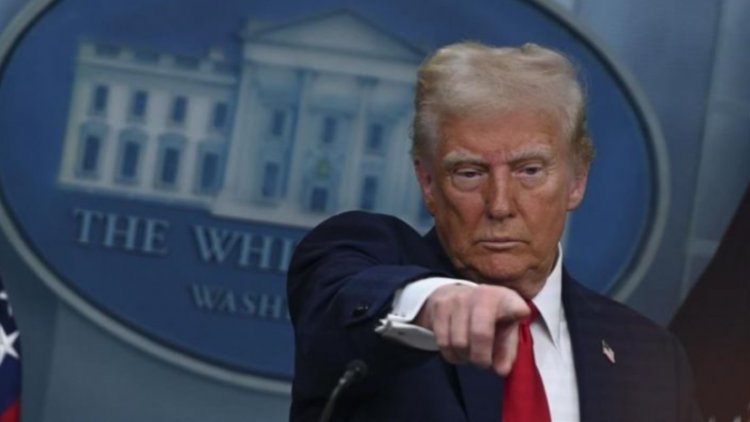 Trump Berencana Hapus Beberapa Tarif Impor Mobil