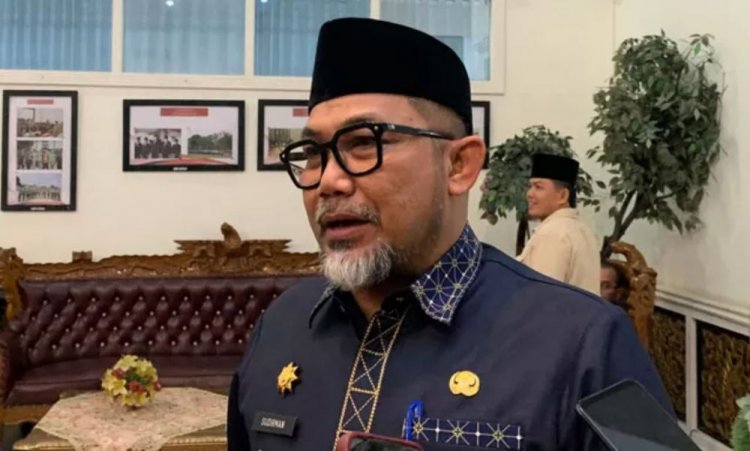 Ada Investor Tertarik Bangun Bandara Bertaraf Internasional di Pesisir Jambi
