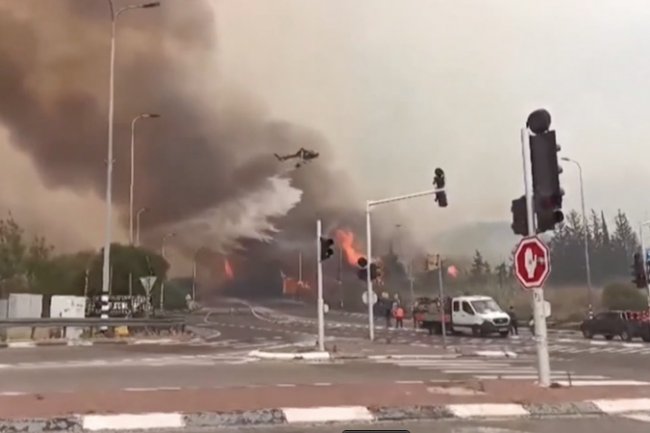 Kebakaran Hutan Landa Israel, Dorong Dunia Internasional Beri Bantuan