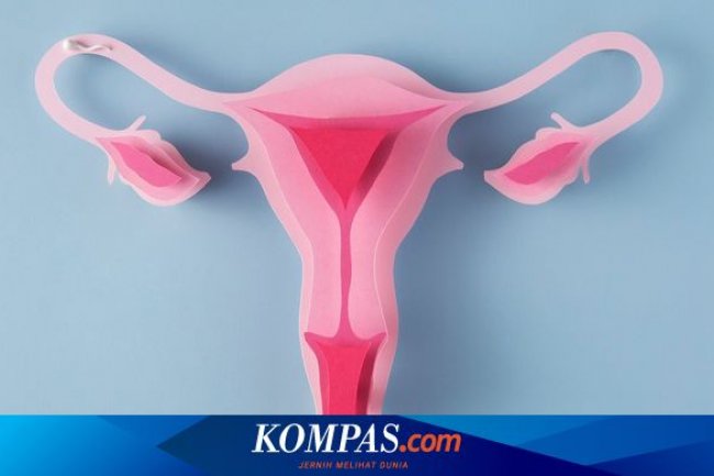 Efektif Cegah Kanker Serviks, Berapa Biaya Vaksin HPV Tahun 2025?
