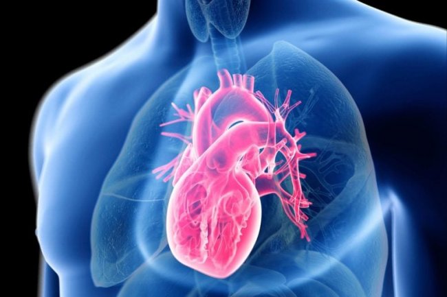 Misteri Hati Terpecahkan: Para Ilmuwan Menemukan Sumber Peradangan Hati Yang Tidak Terduga