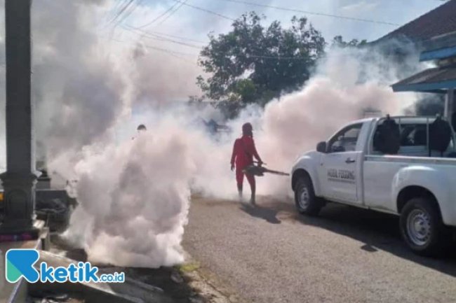 Tegalombo Sumbang Pasien Terbanyak, DBD Pacitan Capai 258 Kasus