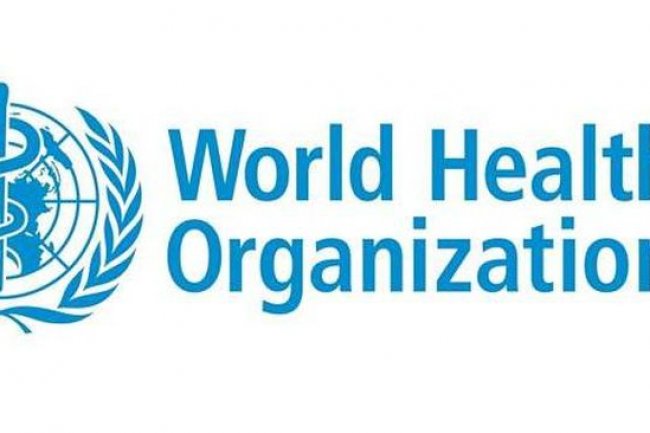 WHO Larang Pakai Asbes untuk Atap Rumah, Dampaknya Ngeri