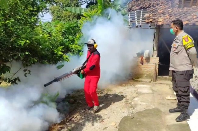 Kasus DBD di Pandeglang, Dinkes Langsung Lakukan Fogging Cegah Penyebaran Nyamuk Aedes Aegypti