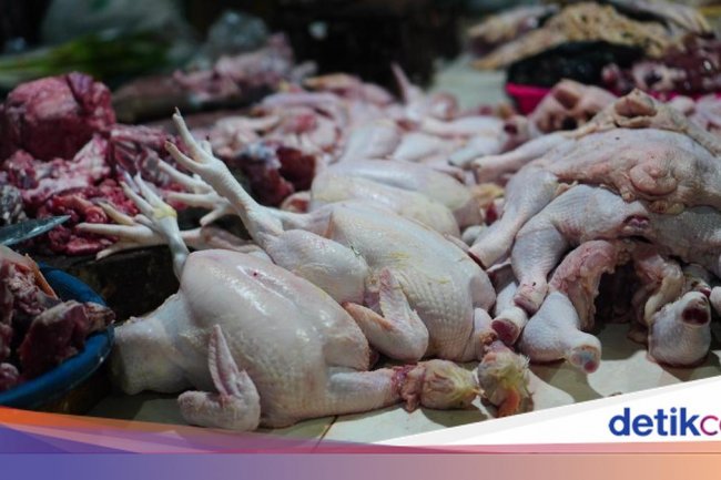 Makan Ayam Bisa Picu Kanker? Begini Temuan Riset dan Cara Mengartikannya