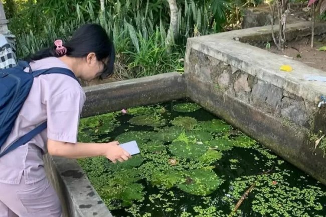 Kasus DBD di Buleleng Masih Mengintai, Dinkes Ajak Masyarakat Gencarkan PSN