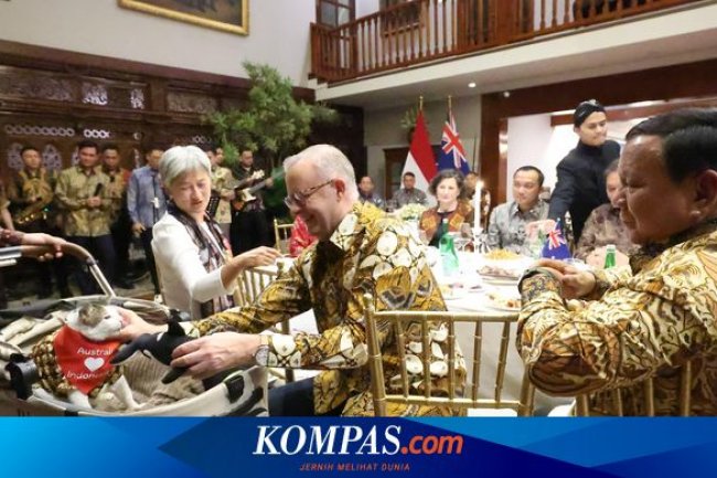 Bobby Kucing Prabowo Dapat Hadiah Lagi, Kini Kalung Syal dari PM Australia