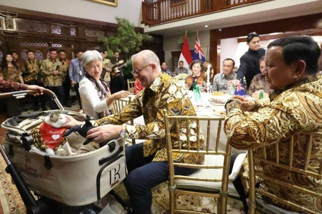 PM Australia Albanese Beri Syal ke Bobby 'Anabul' Prabowo