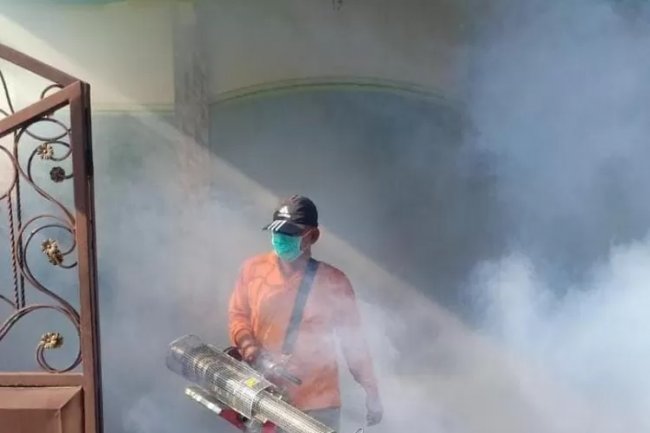 Angka Bebas Jentik Rendah, Kasus DBD Bertambah