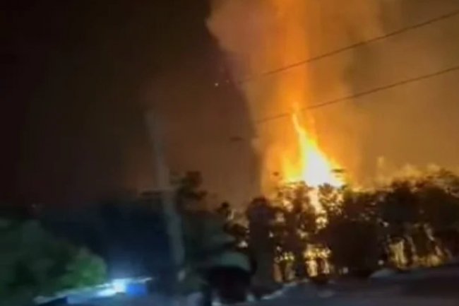 Kandang Terbakar di Katingan, Ribuan Ayam Mati Terpanggang