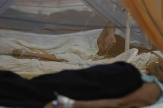 Pakar BRIN Ungkap Petaka Kiamat di RI, Sebut Penyakit Mematikan