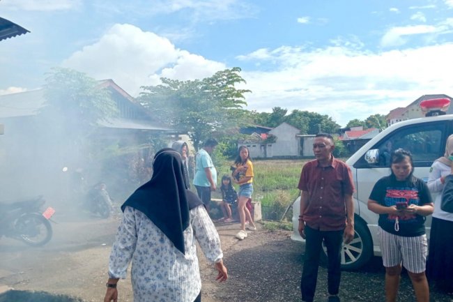 Waspada DBD !! Sudah 8 Warga Pajalesang Palopo Terjangkit