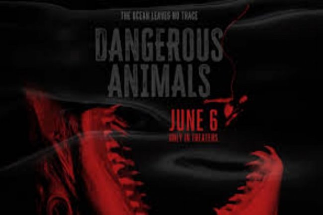 Sinopsis Film Dangerous Animals: Peselancar yang Terancam jadi Santapan Hiu
