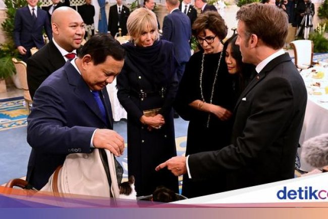 Saat Macron-Brigitte Bertemu Kucing Prabowo 'Bobby Kertanegara' di Istana
