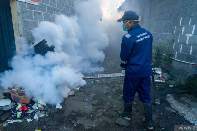 Dinkes Yogyakarta perkuat peran jumantik di setiap rumah tekan lonjakan DBD