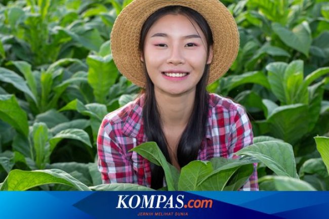 Penelitian Menunjukkan Manusia adalah Makhluk Musiman, Apa Maksudnya?