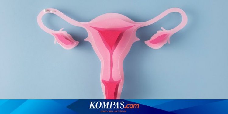 Efektif Cegah Kanker Serviks, Berapa Biaya Vaksin HPV Tahun 2025?
