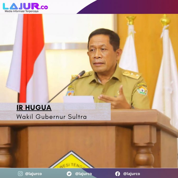 Wagub Hugua Beber Rencana Bangun Pelabuhan Internasional, Dorong Ekspor-Impor di Sultra