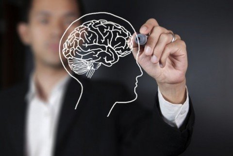 Dari Eksplorasi Sistem Otak Laba-Laba Ditemukan Solusi Baru Atasi Alzheimer