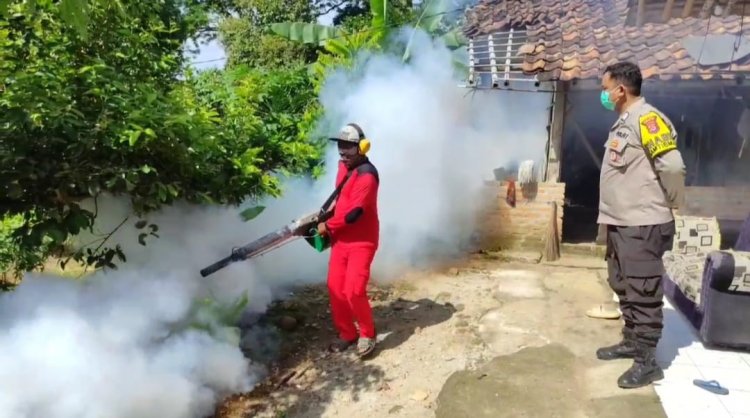 Kasus DBD di Pandeglang, Dinkes Langsung Lakukan Fogging Cegah Penyebaran Nyamuk Aedes Aegypti