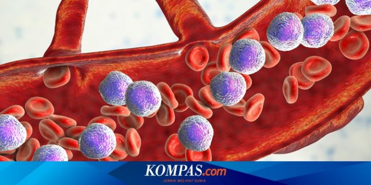 7 Tanda Kanker Darah yang Terlihat di Kulit, Apa Saja?