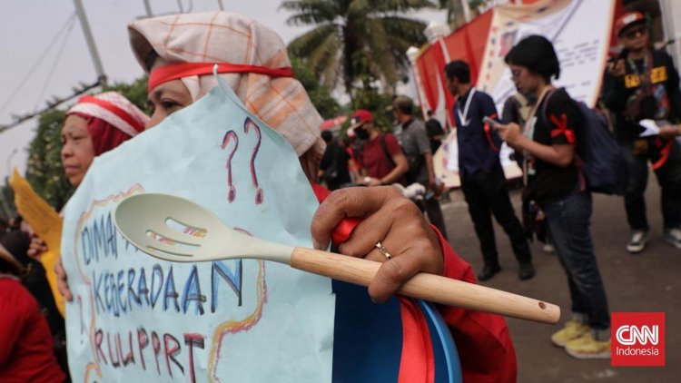 Guru Besar UI: Kondisi PRT RI Banyak Dikritik Dunia Internasional