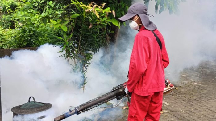 DBD Serang Gresik, 233 Kasus Dilaporkan, Kebomas Tertinggi