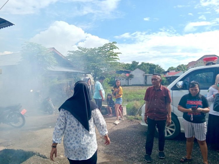 Waspada DBD !! Sudah 8 Warga Pajalesang Palopo Terjangkit