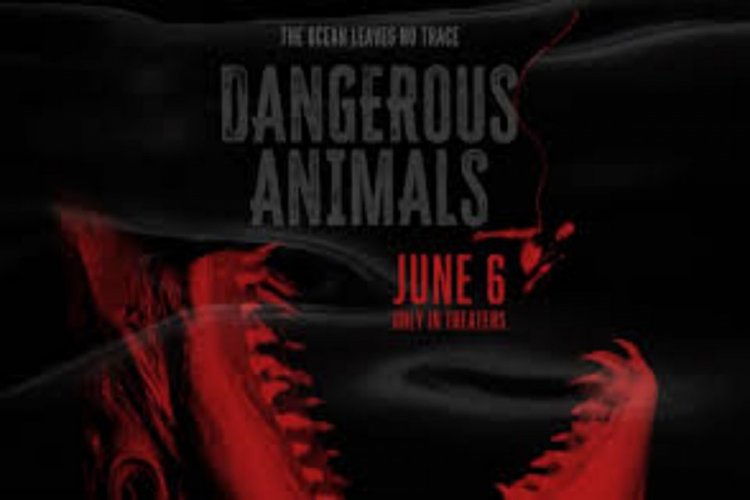 Sinopsis Film Dangerous Animals: Peselancar yang Terancam jadi Santapan Hiu