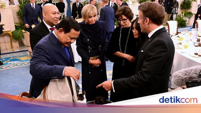 Saat Macron-Brigitte Bertemu Kucing Prabowo 'Bobby Kertanegara' di Istana