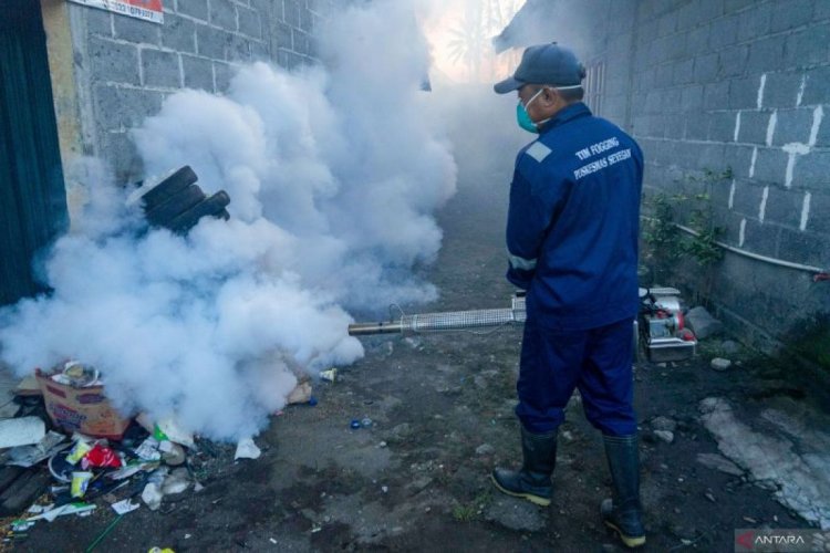 Dinkes Yogyakarta perkuat peran jumantik di setiap rumah tekan lonjakan DBD