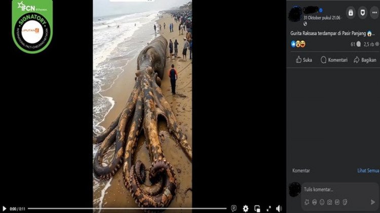 Waspada! Deretan Hoaks Peristiwa di Bali yang Sempat Viral