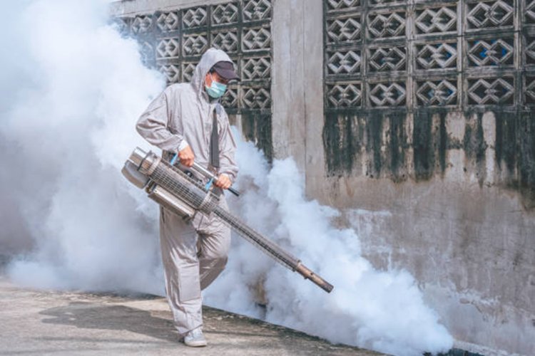 Efektifkah Fogging Cegah DBD Ini Syarat dan Risiko yang Harus Diketahui