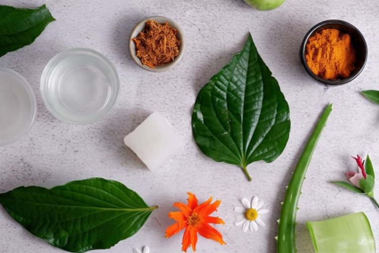 10 Tanaman obat ampuh untuk mata merah dan iritasi