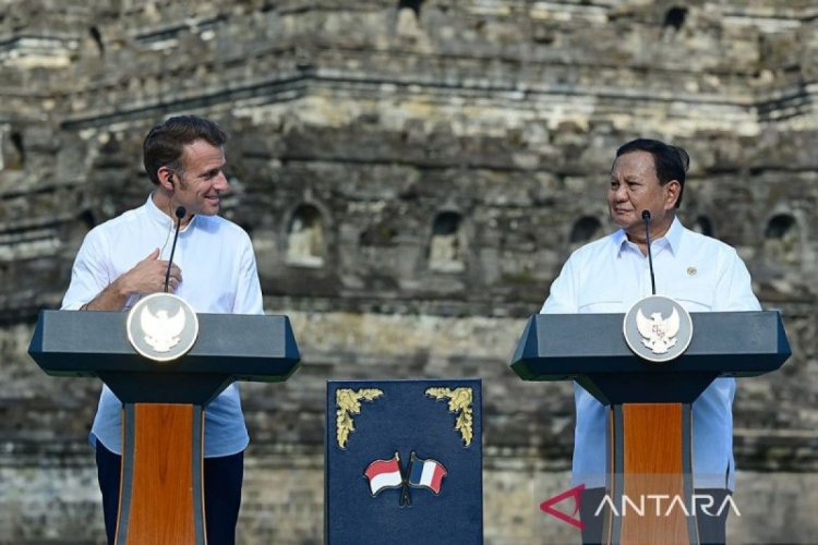 Politik, dari minuman saat jamu Macron hingga kerja sama pendidikan