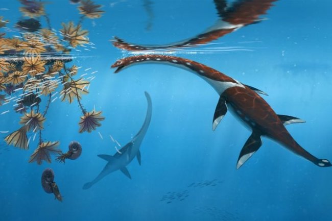Fosil Jurassic Yang Terlupakan Mengungkapkan Monster Laut Yang Panjang Selama Beberapa Dekade
