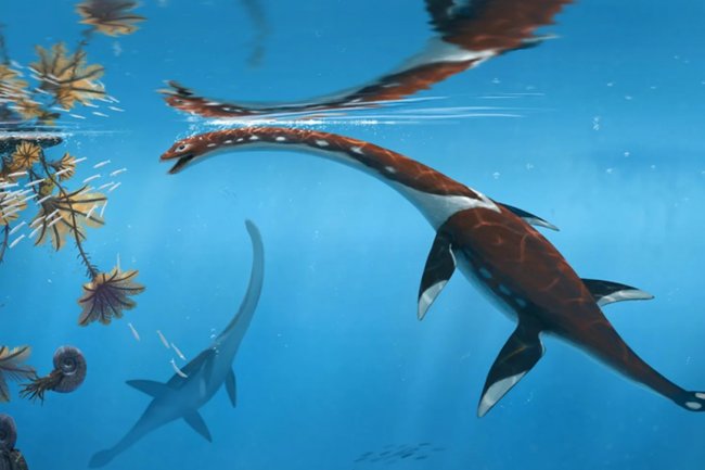 Fosil Reptil Laut Berleher Panjang Ditemukan di Jerman, Ungkap Spesies Plesiosaurus Tertua