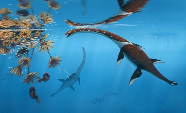 Fosil Jurassic Yang Terlupakan Mengungkapkan Monster Laut Yang Panjang Selama Beberapa Dekade