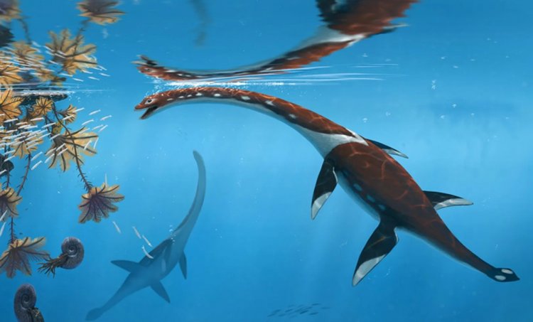 Fosil Reptil Laut Berleher Panjang Ditemukan di Jerman, Ungkap Spesies Plesiosaurus Tertua