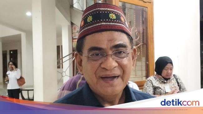 Anggota DPR soal Bendera One Piece: Seharusnya Pemerintah Introspeksi