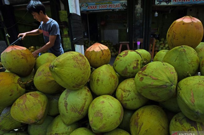 Dietisien: Makanan dan minuman yang bisa redakan keracunan - ANTARA News Jawa Timur