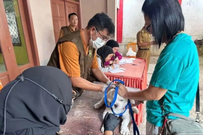 Stok Menipis, Pemkot Bandarlampung Ajukan Tambahan 1.600 Dosis Vaksin Anti Rabies ke Kemenkes